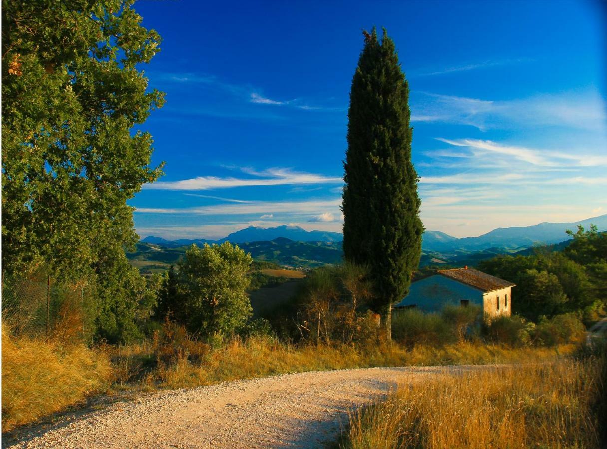 Ca'Lavalle B&B Urbino Exterior foto